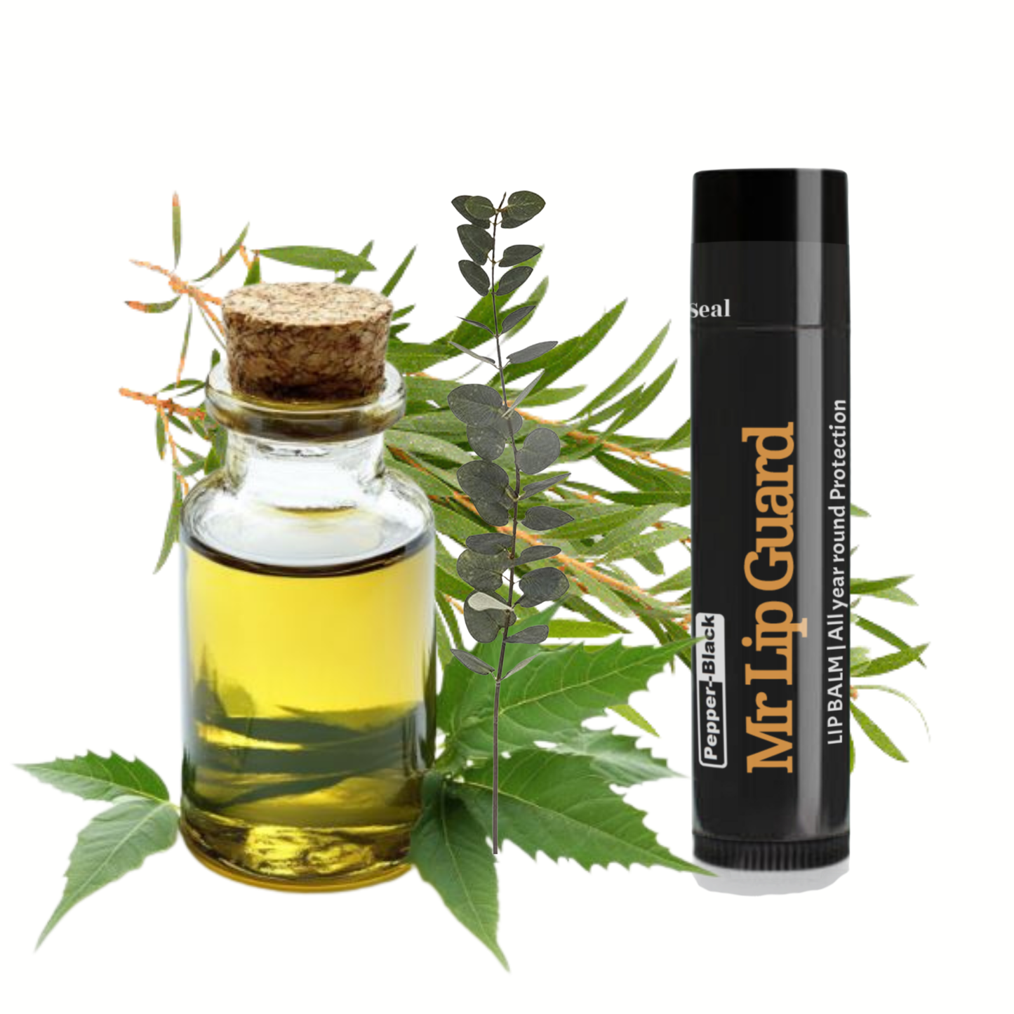 Loins & Groins Sports Antifungal Cream – Fast Relief for Jock Itch, Sweat Rash & Athlete’s Foot – 30/60g