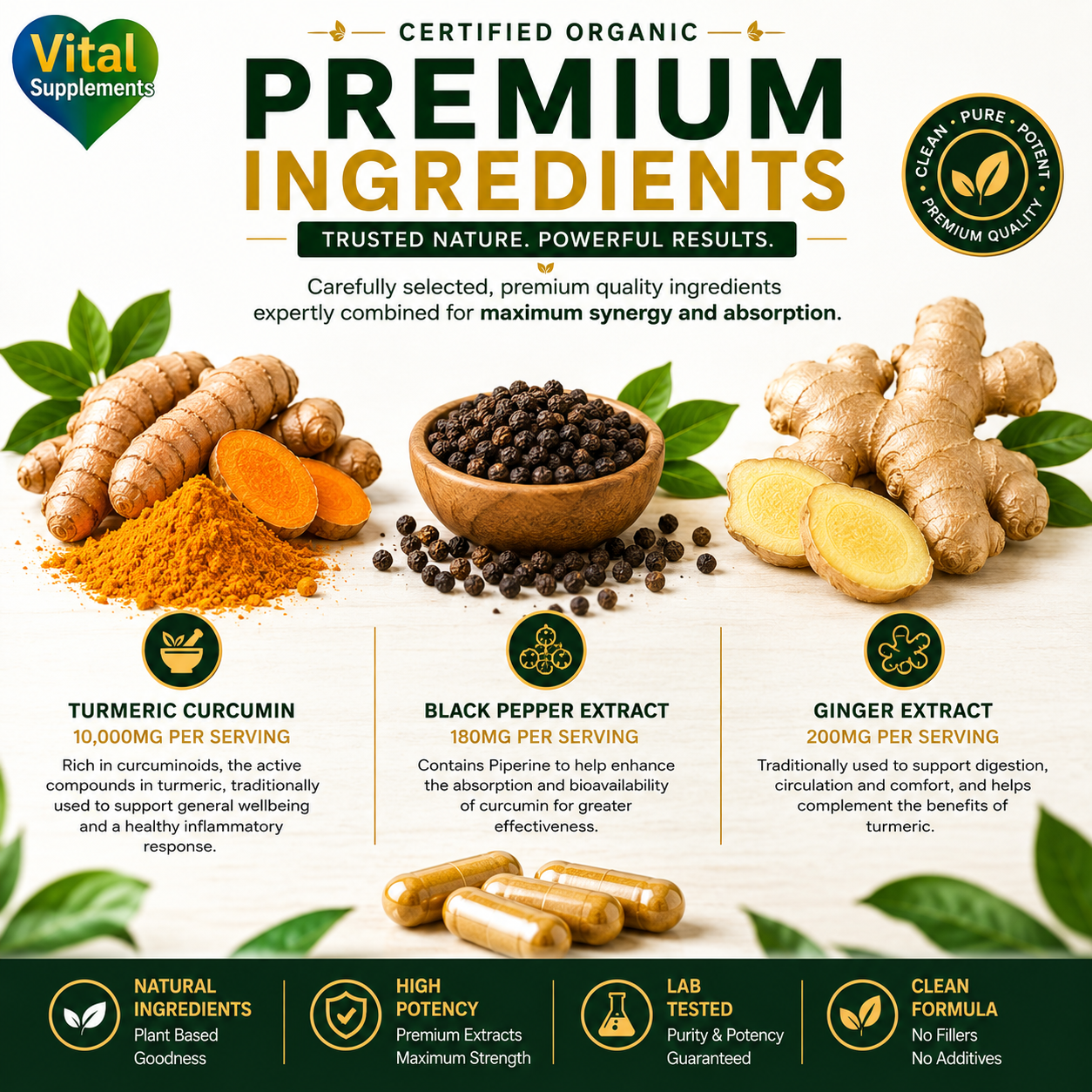 Promotional graphic for Vital Supplements Premium Ingredients, featuring turmeric root, turmeric powder, black peppercorns, ginger root, and capsules on a light marble background with dark green text and icons detailing product benefits.