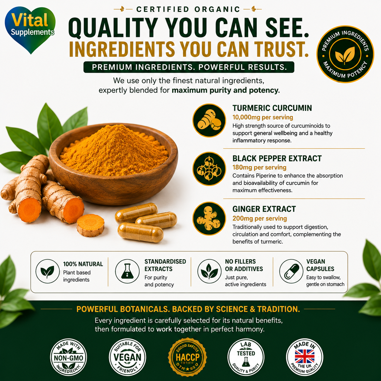 Turmeric + Black Pepper + Ginger - Includes Free Black Seed Oil - 60, 120, 180 Capsules High Strength Supplement