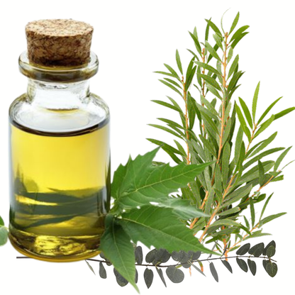 Loins & Groins Sports Antifungal Cream Balm  – 30/60g/100g