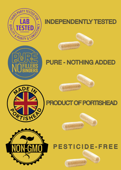 Moringa Capsules 1240mg | Organic Moringa Oleifera Leaf | Vegan | 30/60/90 | Supplements