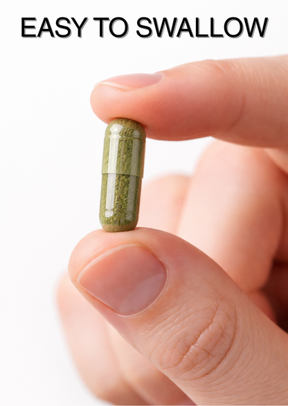 Moringa Capsules 1240mg | Organic Moringa Oleifera Leaf | Vegan | 30/60/90 | Supplements