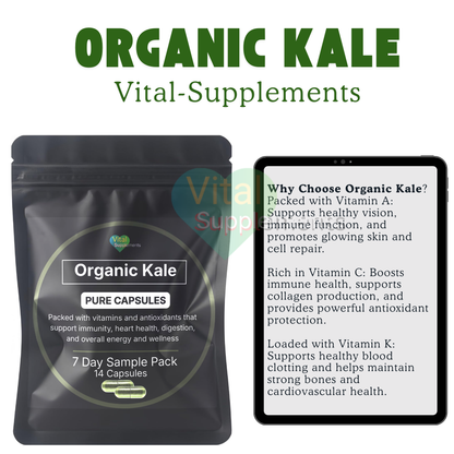 Premium Supplement Sample Packs – Try Before You Commit (Free Shipping)